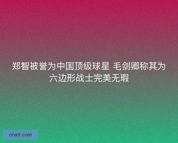 郑智被誉为中国顶级球星 毛剑卿称其为六边形战士完美无瑕 郑智被誉为中国顶级球星 毛剑卿称其为六边形战士完美无瑕