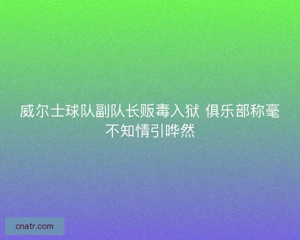 威尔士球队副队长贩毒入狱 俱乐部称毫不知情引哗然