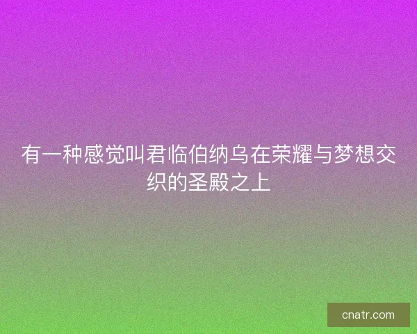 有一种感觉叫君临伯纳乌在荣耀与梦想交织的圣殿之上