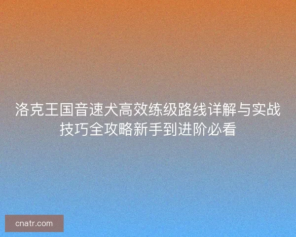 洛克王国音速犬高效练级路线详解与实战技巧全攻略新手到进阶必看